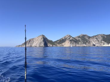 Great Day at sea with Captain Martin and crew