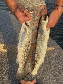 Wonderful day in the Bay