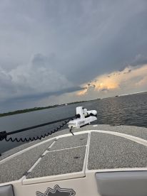 Great Charter.  Q rocks!