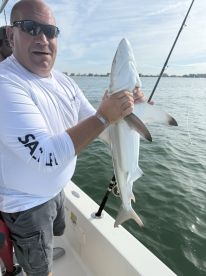 Did not let us down!