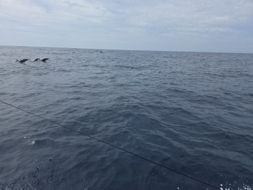 Classy Charter Service