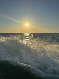 Awesome professional crew