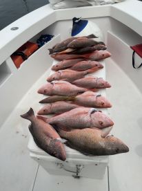 Caught our limit in two hours. Amazing!