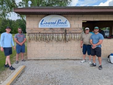 Great fishing experience 