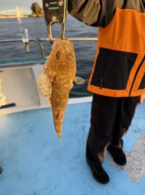 Awesome experience in Sydney