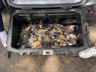 The Best Fishing Trip Ever 