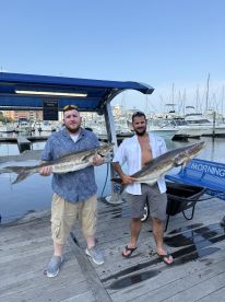 Knows what he is doing 