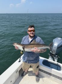 Knows what he is doing 