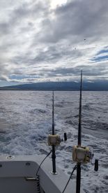 Captain fired and We didn't even get a nibble!