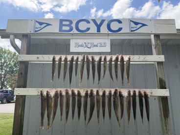 What a great experience!