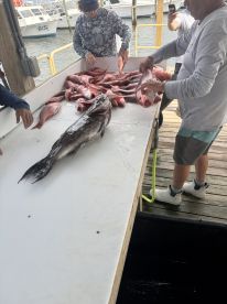 Limited out on Red Snapper 