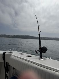 Captain Nick is great!