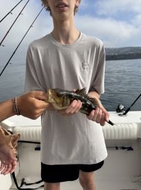 Captain Nick is great!