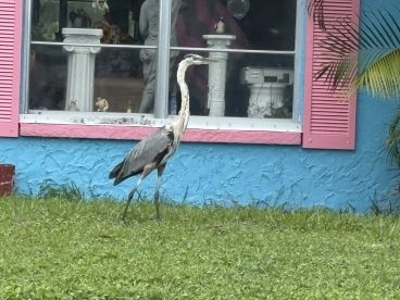 A great day on the water.  