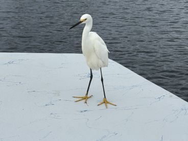 A great day on the water.  