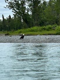 Fantastic Experience