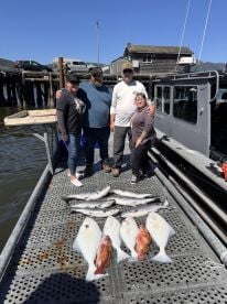 Would definitely book again