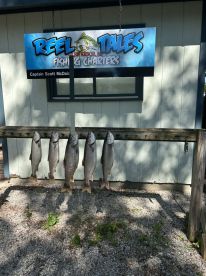 Captain Scott was great.