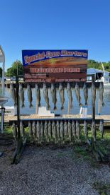 5am trip back to the dock at 9:00 limited out!!