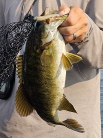 Fabulous Day of Fishing!