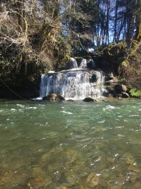 Best Day Ever.  Wonderful Water