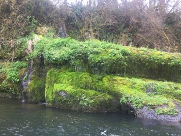 Best Day Ever.  Wonderful Water