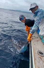 Great Experience - Highly Recommend!