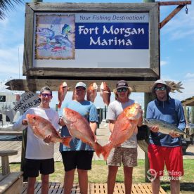 Fast Boat = Big Fish 