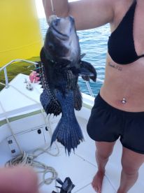 Full day of Fish On!!!