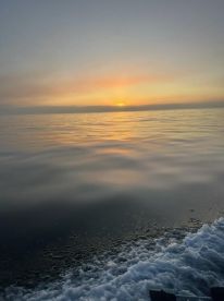 Great salmon fishing!