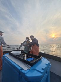 Great day with Persuader crew fishing