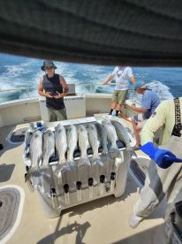 Greta trip with Jill and Steve 