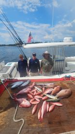 Gulf Of America Fishing Trip