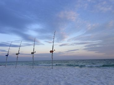 Exciting 11ft 2” Tiger Shark Catch