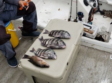 Day trip with Captain  Dave weather was not good but still had great trip.