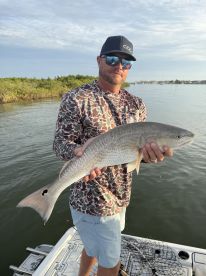 Super nice highly recommend. 