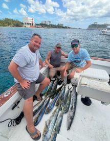 From Cruise to Charter