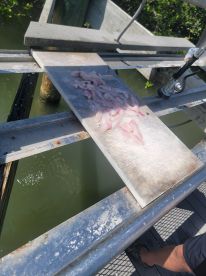 Awesome morning on the water!!