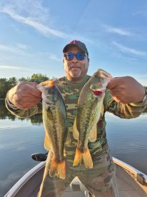 Diligent, Dedicated, Knowledgeable & Tenacious