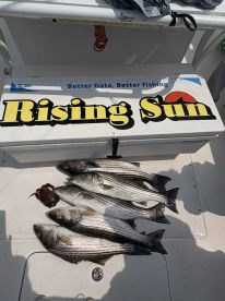 Private boat Fishing trip