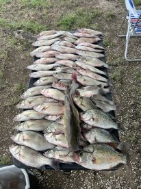 Caught Our Limit with an Awesome Guide!