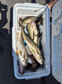 Awesome Trip for my wish list