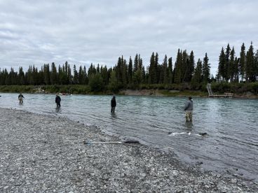 Fantastic Experience with Aaron at Alaska Widespread Fishing