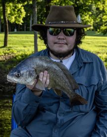 Great evening on the lake 