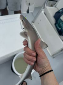 Fun for the whole fam 