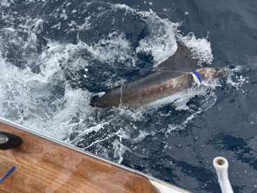 Great day on the water 