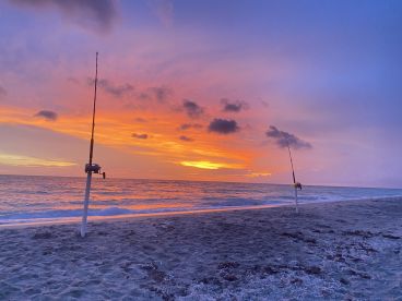 Trip for large families.