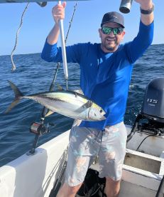 Would highly recommend! 