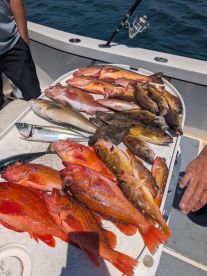 Excellent fishing trip