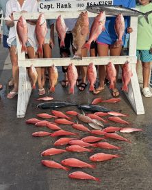 Fun time had by all!